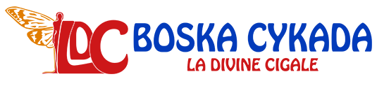 logo strony