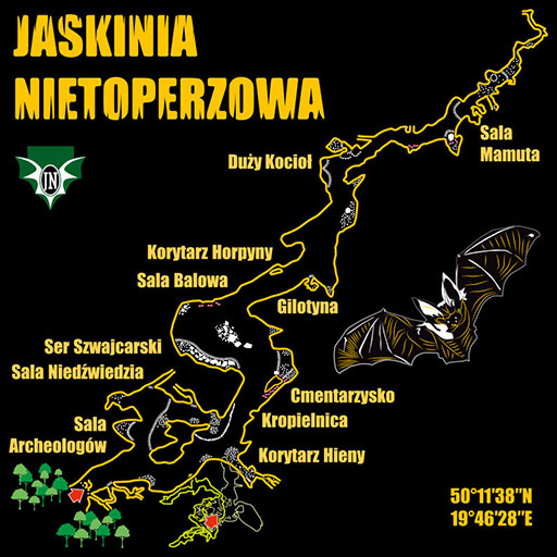 Grafika "Jaskinia Nietoperzowa" PLAN czarne tło