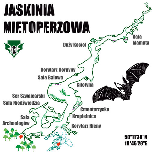 Grafika "Jaskinia Nietoperzowa" PLAN białe tło